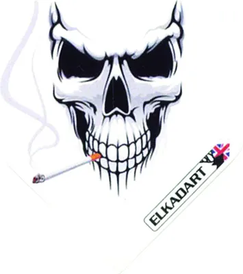 Produktbild von Elkadart Flights White Skull 100 Micron