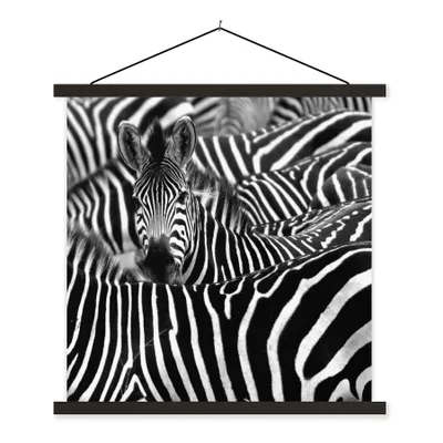 Produktbild von MuchoWow® Textilposter Zebra schwarz-weiß Fotodruck 150x113 cm mit schwarzem Rahmen - Wohnzimmer