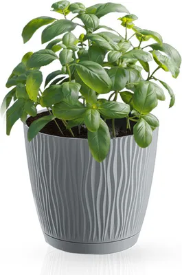 Produktbild von Topf mit Untertasse steingrau 15 cm Sandy P