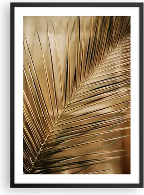 Produktbild von Gerahmtes Poster - Schwarzer Rahmen - Blatt Gold Pflanze - 50x70 cm - Wand Bild - Wanddeko - Wandbilder - Kunstposter - Wandposter - Bilderrahmen - Bilder - Kunstdruck - P2BPA50x70-5041