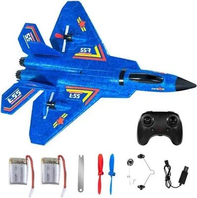 Image de Avion RC F-22 avec télécommande 2 canaux 24 GHz et Xpilot