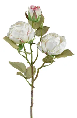 Produktbild von Mömax Dekozweig Vintagerose II Weiß