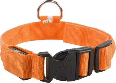 Obrázek produktu pro LED obojek pro psy Mesh / Orange XS