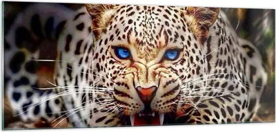 Produktbild von Bilder auf glas - Panther Tier - 100x40cm - Glasbilder - Wandbilder - Kunstdruck - zum Aufhängen bereit - Wanddekoration aus Glas - Glas Bilder - Wandbild auf Glas - Einteilig - GAB100x40-3506