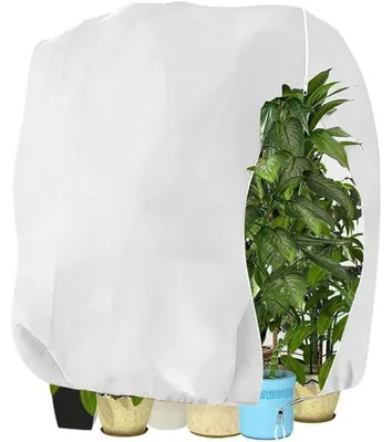 Produktbild von Winterschutz Pflanzenhaube Atmungsaktiv Reißfest Weiß 120x180cm