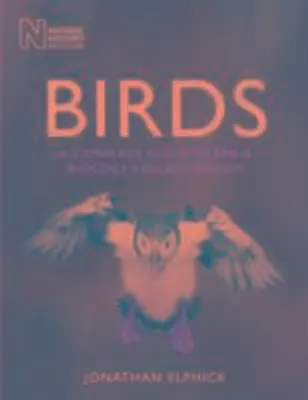 Immagine prodotto di Birds
