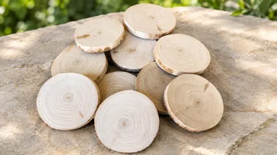 Immagine prodotto di Dischi di legno di castagno pregiato, diametro 10-12 cm, confezione da 10 pezzi. Ideali per lavori manuali o come elementi decorativi