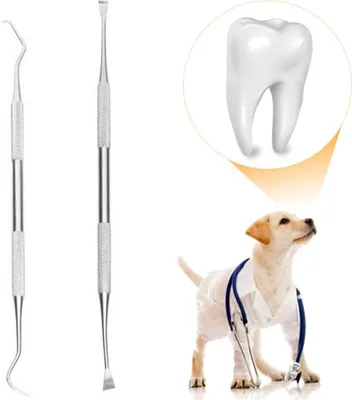 Produktbild von Schecker Zahnsteinentferner Set, 2-teilig in Zahnarztqualität, für Hunde Katzen und Haustiere für die Zahnsteinentfernung