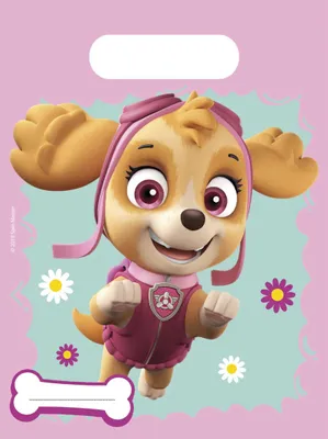 Produktbild von 6 Life of Paw Patrol Geschenktüten