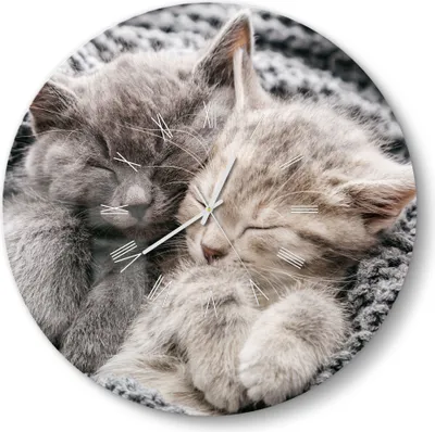 Produktbild von DEQORI Glasuhr Ø50 cm Römisch 'Eingekuschelte Kätzchen' Wanduhr Glas Uhr Design leise