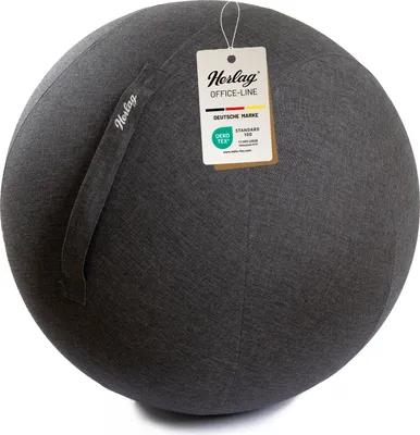 Produktbild von Herlag Office Ball 65cm Anthrazit Sitzball für ergonomisches Sitzen Gymnastikball Büro & Home Office inkl. Bezug, Innenball, Pumpe, Adapter