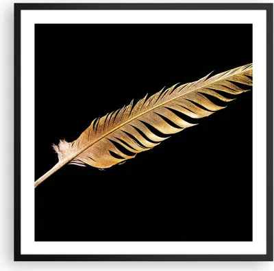 Produktbild von Gerahmtes Poster - Schwarzer Rahmen - Golden Feder Schwarz - 60x60 cm - Wand Bild - Wanddeko - Wandbilder - Kunstposter - Wandposter - Bilderrahmen - Bilder - Kunstdruck - P2BAC60x60-4887