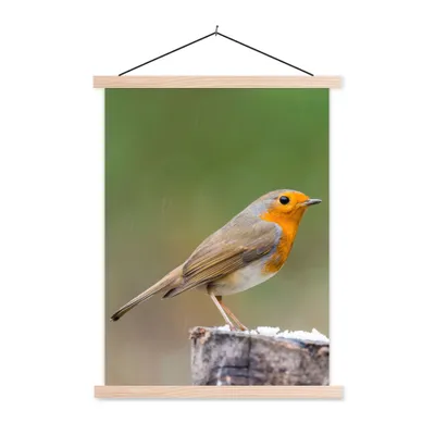 Produktbild von MuchoWow® Textilposter Tiere - Vogel - Rotkehlchen 120x160 cm mit holzfarbenen Rahmen - Plakatkarton