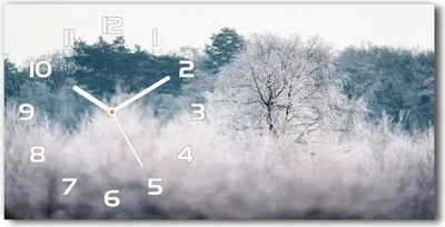 Produktbild von Wanduhr aus Glas – 60x30 cm - Glasbild - Glasuhr - Gehärtetes Glas - weisse-zeiger - Winterbäume