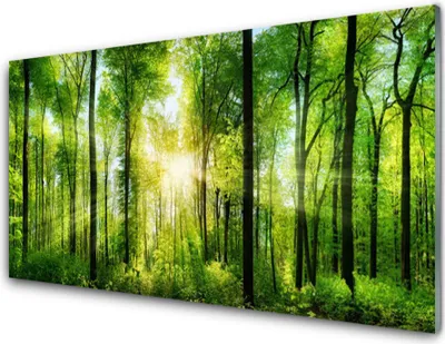 Produktbild von Acrylglasbilder 100x50 Wandbild Druck Wald Natur