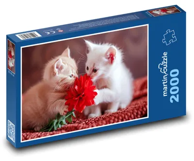 Obrázek produktu pro martinpuzzle - Puzzle 2000 - Roztomilá koťata