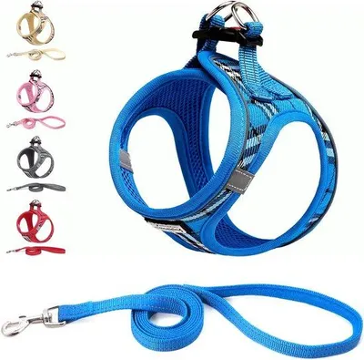 Produktbild von Famanu Hundegeschirr für Kleine Hunde mit Leine - Anti-Trektuig Reflektierend Atmungsaktiv - Puppygeschirr für Kleine - Mittlere Hunde (M - Blau