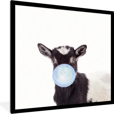 Produktbild von MuchoWow® Gerahmtes Poster Ziege - Kaugummi - Jungen - Kind - Blau - Tiere 40x40 cm - Poster mit Schwarzem Bilderrahmen Wandposter Rahmen Foto Bilder - Mit Rahmen - Wanddekoration Schlafzimmer