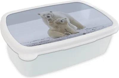 Produktbild von KitchenYeah® Lunchbox Brotzeit Brotdose 17x11 cm Eisbär - Kind - Schnee Kinder Brotzeitdose - Lunch Box - Kinder - Sandwich-Box - Schulbox - Lunch Boxen