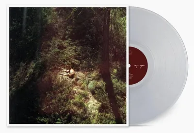 Produktbild von Will Samson: Sings Again (Crystal Clear Vinyl)