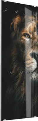 Produktbild von DEQORI Kleiderhaken aus Glas 50x125 cm 'Der König im Schatten' Wand Garderobe Haken