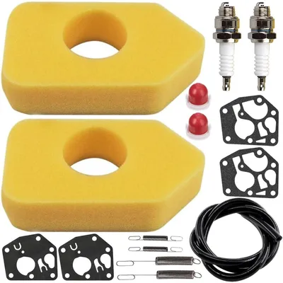 Produktbild von Ersatzset für Luftfilter und Membran für Briggs & Stratton