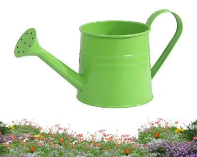 Productafbeelding van Esthetische Gieter voor Kamerplanten, 1 Liter