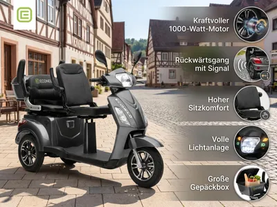 Produktbild von E-Seniorenmobil Billy 2.0, Blei-Akku, 3-Rad, 1000 Watt, Grau