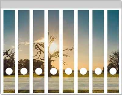 Produktbild von Wallario Ordnerrücken Sticker, selbstklebend für schmale Ordner, 8 Stück, Motiv Alte knochige Bäume bei Sonnenuntergang