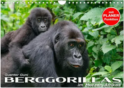 Produktbild von Berggorillas im Herzen Afrikas (Wandkalender 2025 DIN A4 quer), CALVENDO Monatskalender