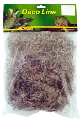 Obrázek produktu pro Španělský mech Lucky Reptile