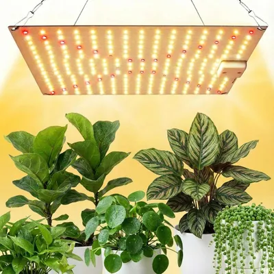 A grow light hangs above several potted houseplants, including a fiddle-leaf fig, a pilea, and a string of pearls.