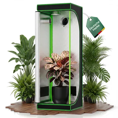 Immagine prodotto di Tenda di coltivazione per piante, dimensioni 60x60x180 cm, marca Kingpower