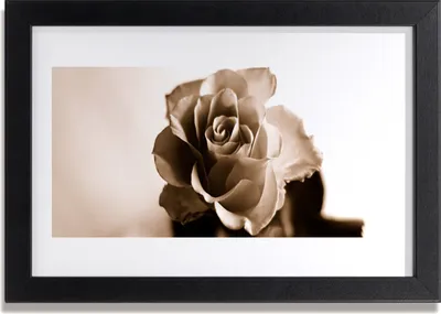 Produktbild von Bild 30x20 MDF-Rahmen Wandkunst Rose-Blumen-Anlage
