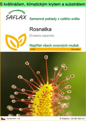 Obrázek produktu pro SAFLAX Garden to go - rosnatka - Drosera capensis - 200 Semena - S květináčem, klimatickou poklicí a pěstebním substrátem