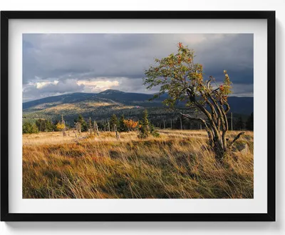 Produktbild von Riesengebirge im Herbst– Wandbild mit Rahmen – Gerahmtes Bild  – Wanddekoration – 80x60 cm –  Schwarz Rahmen