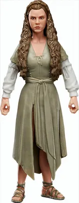 Immagine prodotto di Star Wars Episodio VI Serie Nera Figura d'azione 2022 Principessa Leia (Villaggio Ewok) 15 cm
