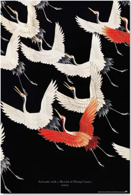 Immagine prodotto di Erik Editores Furisode With A Myriad Of Flying Cranes Poster Multicolore Multicolore Taglia unica