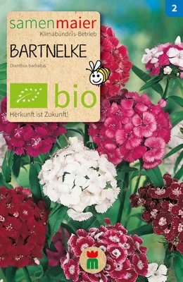 Artikelbild 1 von 'BIO Bartnelke einfach Mischung' aus der Kategorie Nelkensamen