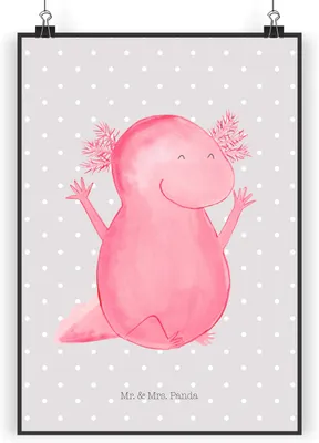 Produktbild von Mr. & Mrs. Panda Bild Axolotl Hurra DIN A3 - Grau Pastell - Geschenk, Fröhlich, kunstdruck poster, Plakat, Wandbild, Spaß, wanddeko, drucke, Motivation