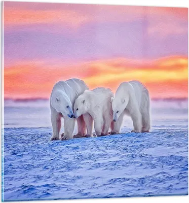 Produktbild von Bilder auf glas - Bären Winter Schnee Familie - 30x30cm - Glasbilder - Wandbilder - Kunstdruck - zum Aufhängen bereit - Wanddekoration aus Glas - Glas Bilder - Wandbild auf Glas - GAC30x30-2836