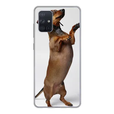 Produktbild von MuchoWow® Handyhülle Schutzhülle Hülle für Samsung Galaxy A51 Ein Dackel, der auf seinen beiden Hinterbeinen steht Silikon Softcase Handy Hülle - Schutzabdeckung