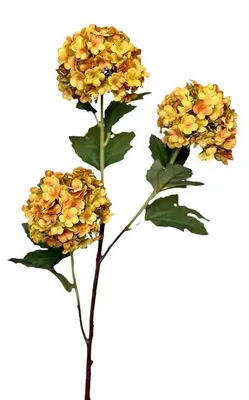 Produktbild von Kunstbloem Sneeuwbal 90cm okergeel