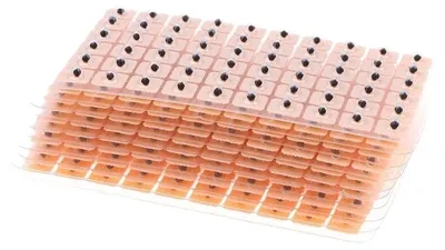 Image de Patchs pour les soins des oreilles, 600 pièces, auriculothérapie non invasive, 600 pièces