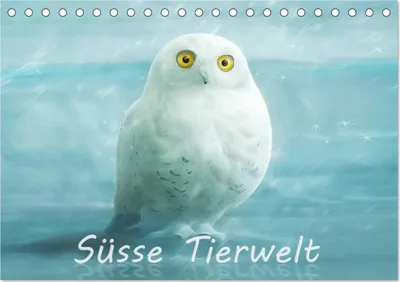Produktbild von Süsse Tierwelt / Geburtstagskalender (Tischkalender 2025 DIN A5 quer), CALVENDO Monatskalender