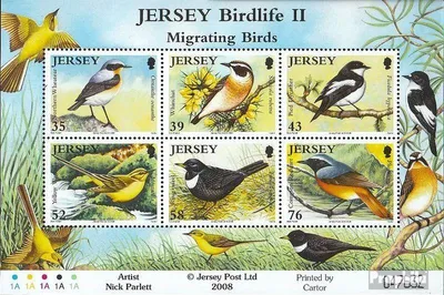 Produktbild von Briefmarken GB - Jersey 2008 Mi Block72 (kompl.Ausg.) postfrisch Zugvögel