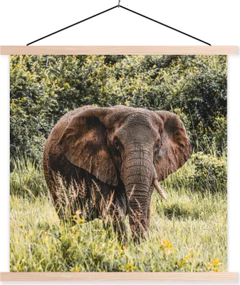 Produktbild von MuchoWow® Textilposter Elefant - Gras - Natur 120x120 cm mit holzfarbenen Rahmen - Textil-Poster