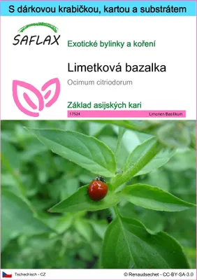 Obrázek produktu pro SAFLAX Dárková sada - Limetková bazalka - Ocimum citriodorum - 200 Semena - S dárkovou krabičkou, přepravním štítkem, dárkovou kartou a pěstebním médiem