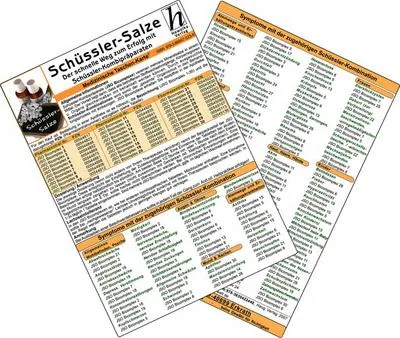 Produktbild von Schüssler-Salze - Der schnelle Weg zum Erfolg mit Schüssler-Kombipräparate - Medizinische Taschen-Karte