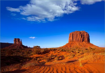 Produktbild von Wallario Fototapete Vliestapete, seidenmatte Oberfläche, einfache Verarbeitung, Größe 300 x 210 cm, Motiv Monument Valley am Abend I